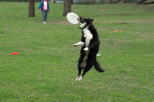 Andy catching a frisbee