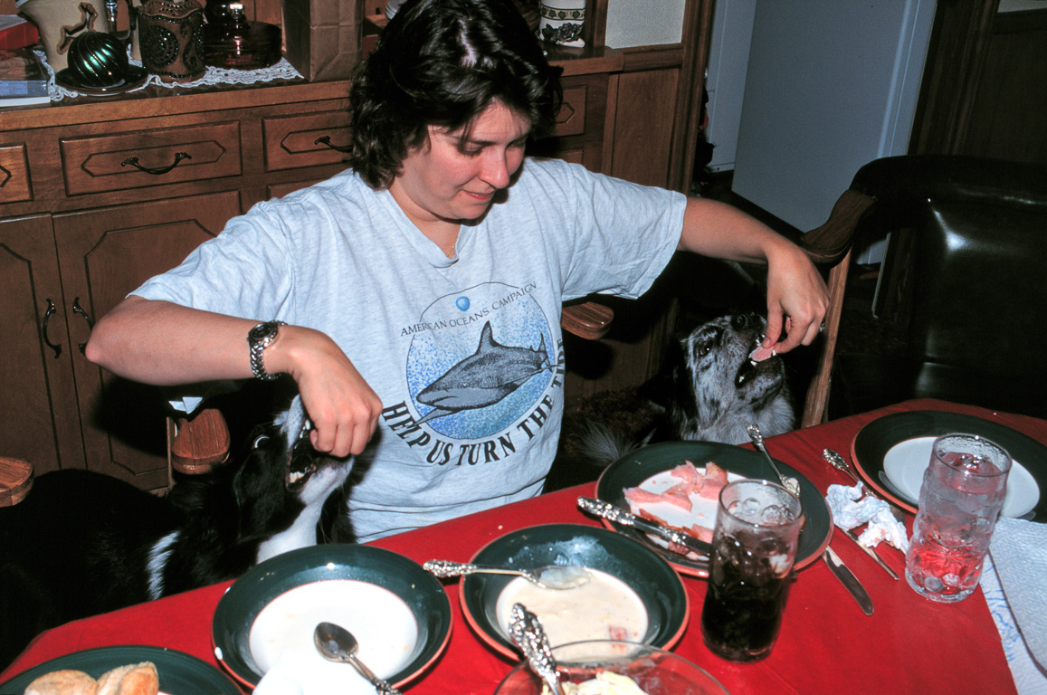 Scherre feeding Andy & Wahoo (1997)