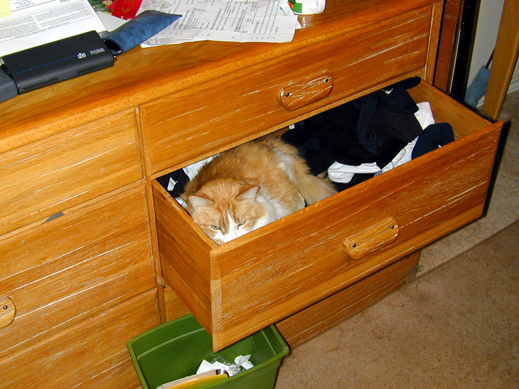 Bubbles in the drawer