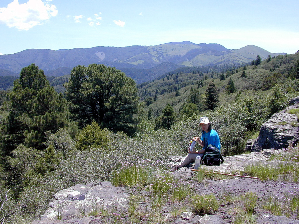 Sarah near Ruidoso