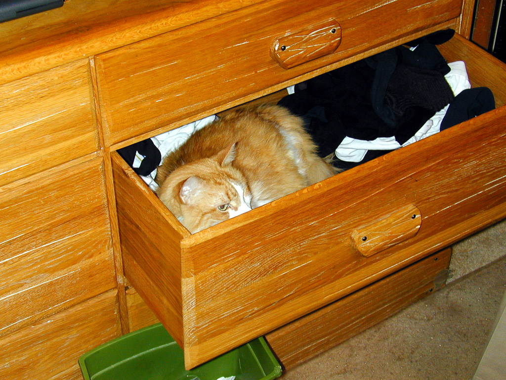 Bubbles in the drawer