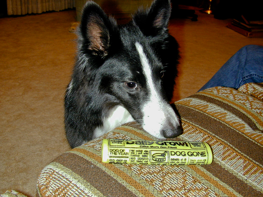 Andy playing chicken with his toy (1999)