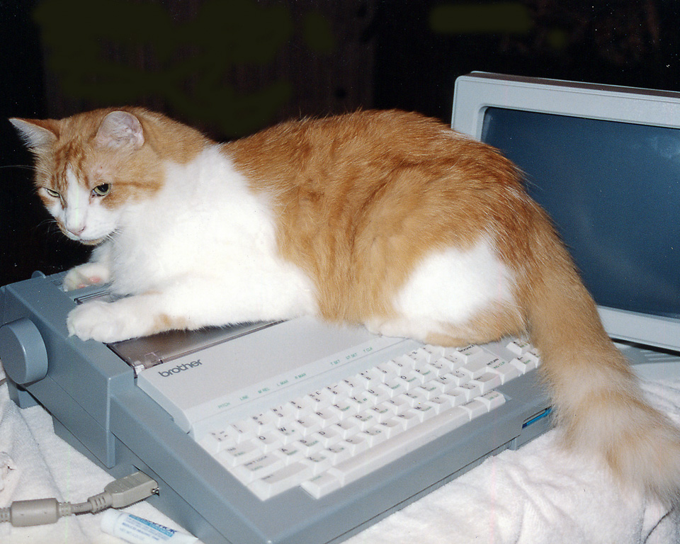 Bubble sitting on a typewriter