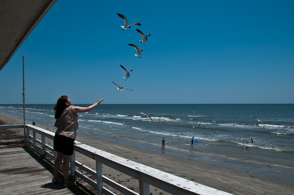 Scherre feeding the seagulls