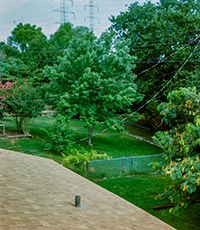 Roof Views 1985