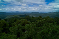 Pinos Altos, NM