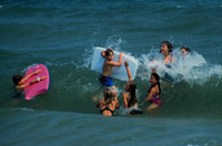 Pawley's Island
